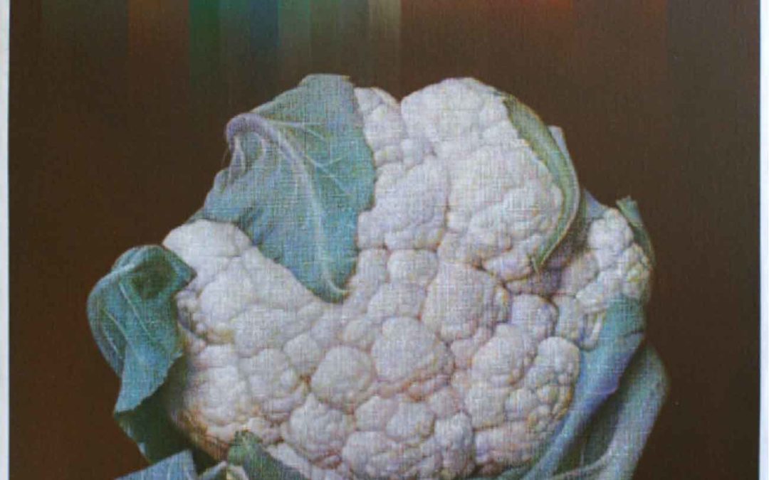 Exposición Bodegons de Rafael Armengol