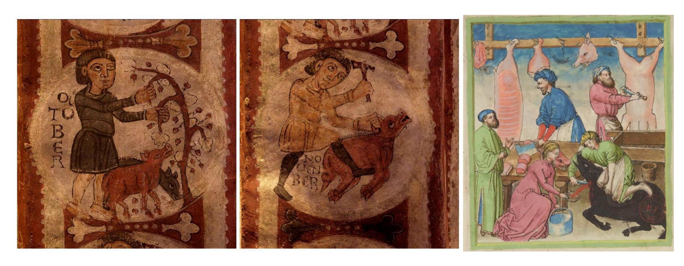 Imágenes del engorde y matanza del cerdo en S. Isidoro de León y en el medieval Tacuinum sanitatis. 